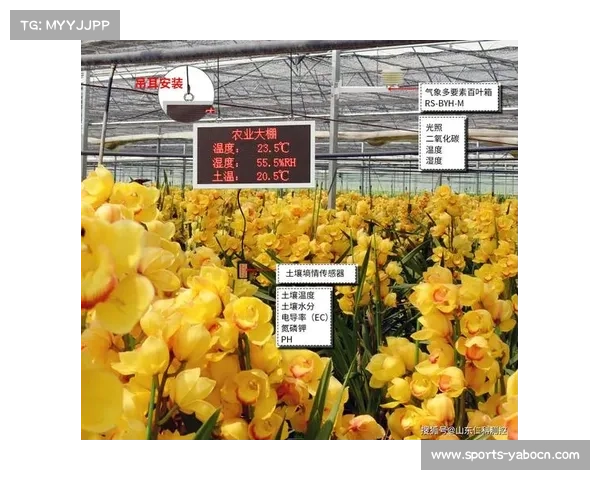 济州联队启用智能草坪系统新主场 实时监测湿度提升比赛环境 济州联队启用智能草坪系统新主场 实时监测湿度提升比赛环境